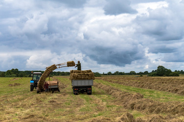 Similar image 21645484