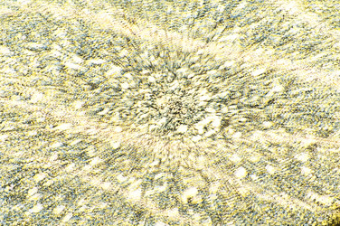 Similar image 21645485