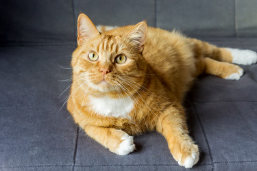 Similar image 21645487