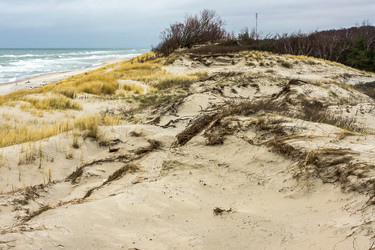 Similar image 21645639