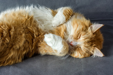 Similar image 21645642