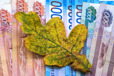 Similar image 21645646