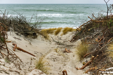 Similar image 21645648