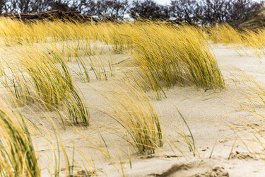 Similar image 21645651