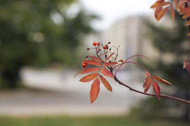 Similar image 21648975