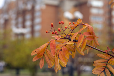 Similar image 21648976