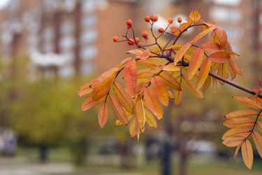 Similar image 21648977