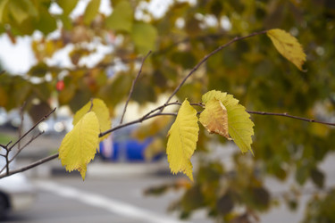 Similar image 21648980