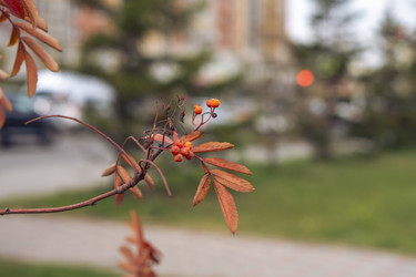 Similar image 21648981