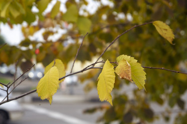 Similar image 21648982