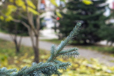 Similar image 21648984