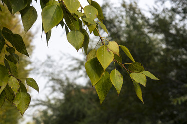 Similar image 21648985