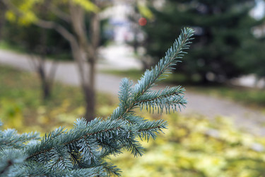 Similar image 21648986