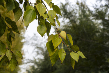 Similar image 21648987