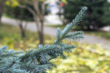 Similar image 21648988