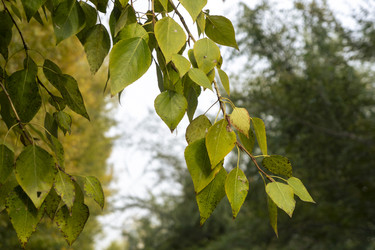 Similar image 21648989