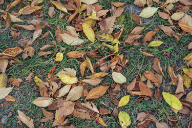 Similar image 21648990