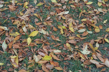 Similar image 21648991