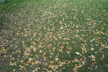 Similar image 21648992