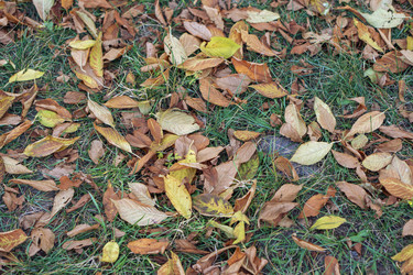 Similar image 21648993