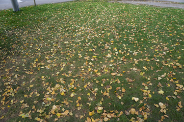 Similar image 21648994