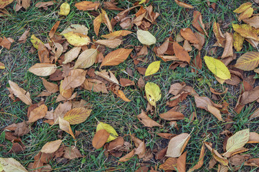 Similar image 21648995