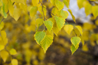 Similar image 21648996