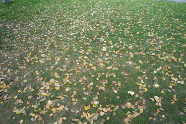 Similar image 21648997