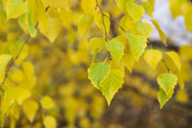 Similar image 21648998