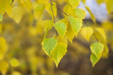 Similar image 21649000