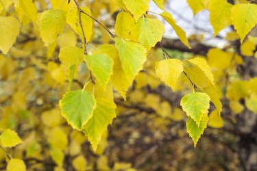 Similar image 21649001