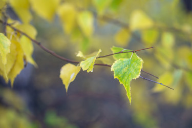 Similar image 21649002