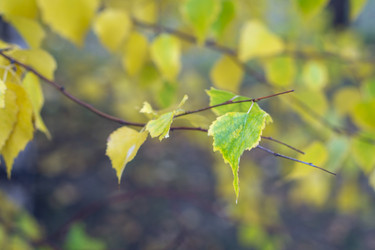 Similar image 21654646