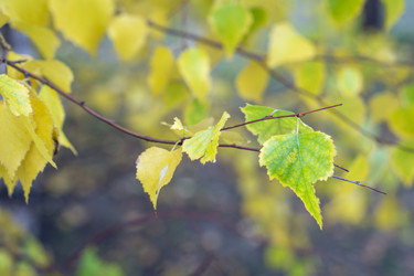 Similar image 21654647