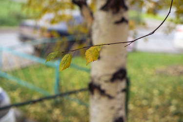 Similar image 21649003