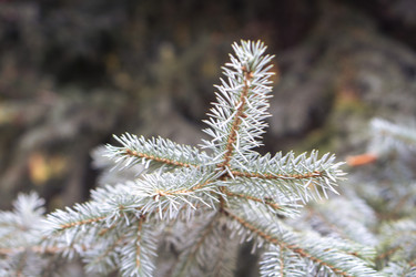 Similar image 21654648