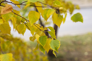 Similar image 21655103