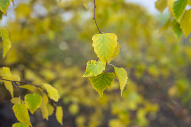 Similar image 21655104