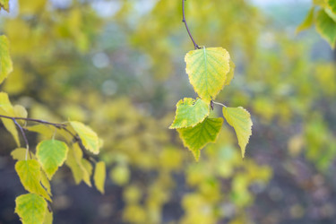 Similar image 21655105