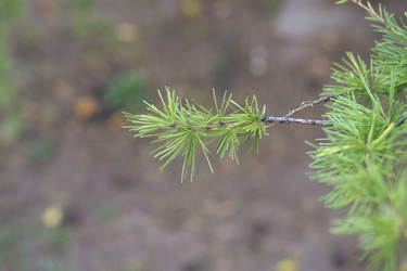 Similar image 21655106