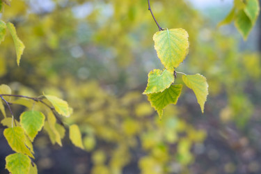 Similar image 21655107