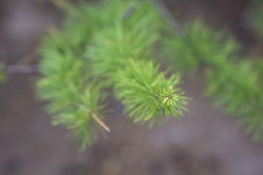 Similar image 21655108