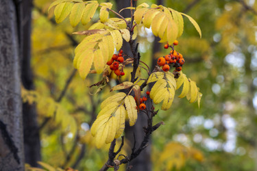 Similar image 21655109