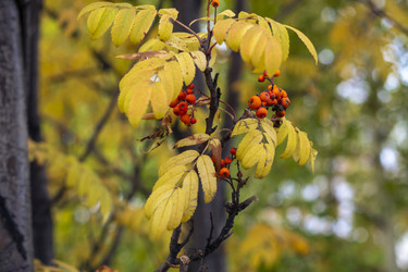 Similar image 21655110