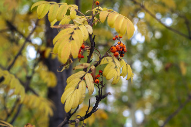 Similar image 21655111