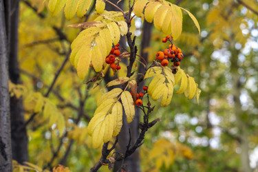 Similar image 21655112