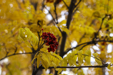 Similar image 21655113