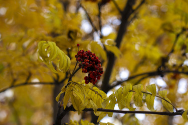 Similar image 21655114