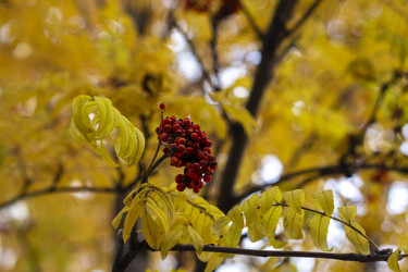 Similar image 21655115