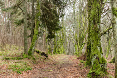 Similar image 21646072